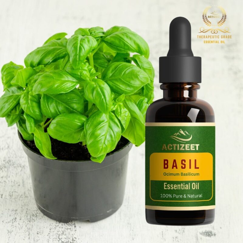 Basil Oil Therapeutic Grade