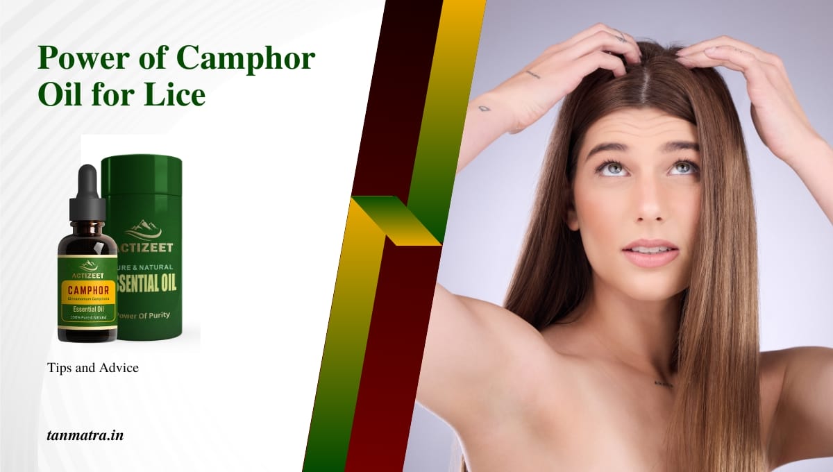 Camphor Oil for Lice