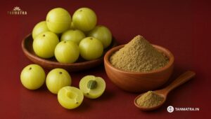 Best Indian Gooseberry Powder in India
