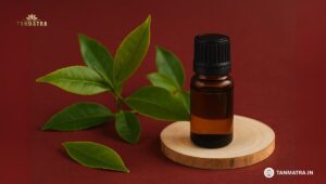 Green Tea Oil Benefits