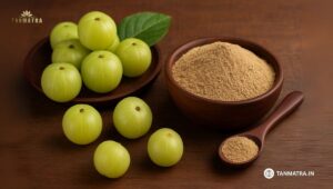 Indian Gooseberry Powder Benefits