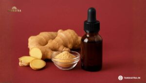 Best Ginger Oil in India