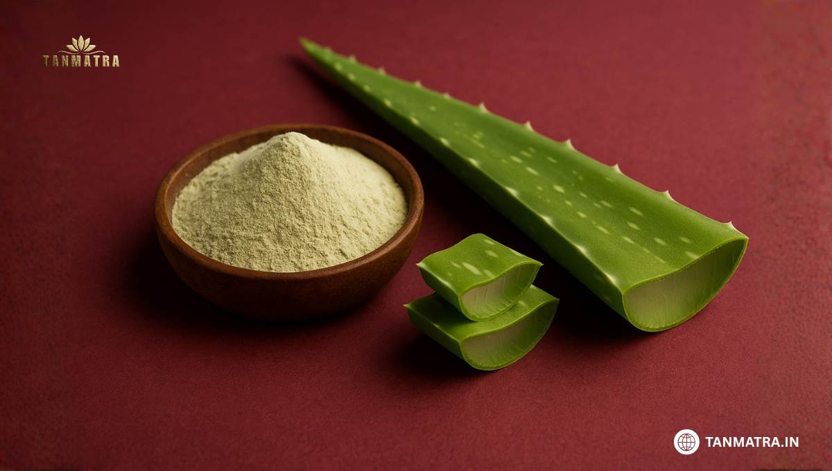 Best Aloe Vera Powder Brands in India
