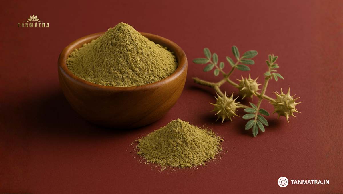 Best Gokshura Powder Brands in India