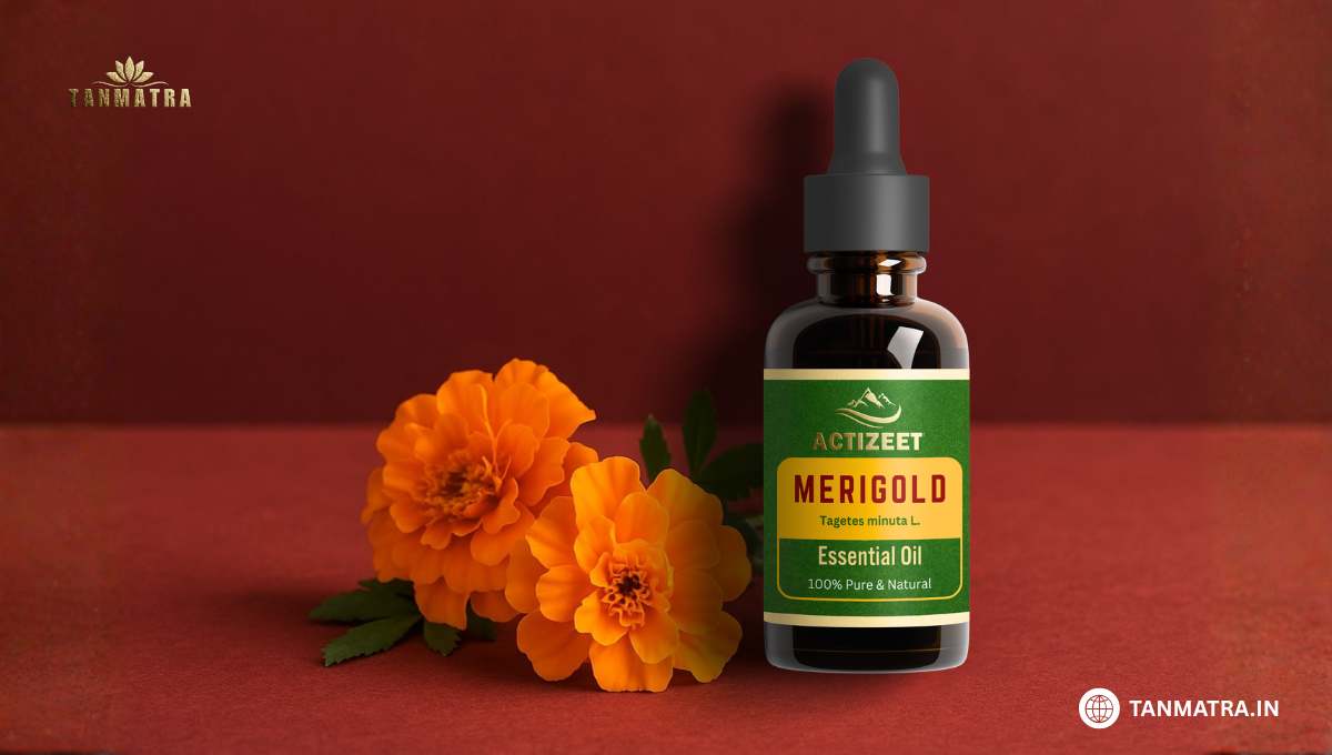 Best Marigold Oil Brands in India