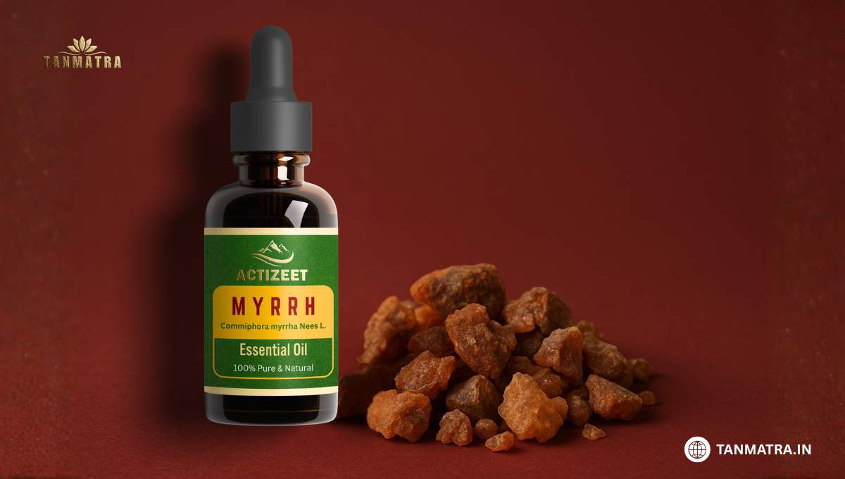 Best Myrrh Oil Brands in India