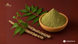 Best Neem Giloy Powder Brands in India