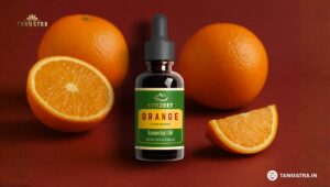 Best Orange Oil Brands in India