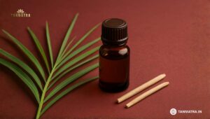 Best Palmarosa Oil Brands in India