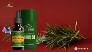Best Rosemary Oil Brands in India