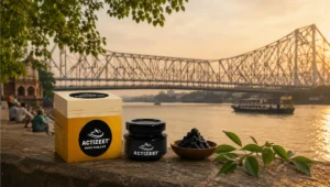 Shilajit in Kolkata: Your Complete Guide to Finding Genuine Himalayan Shilajit